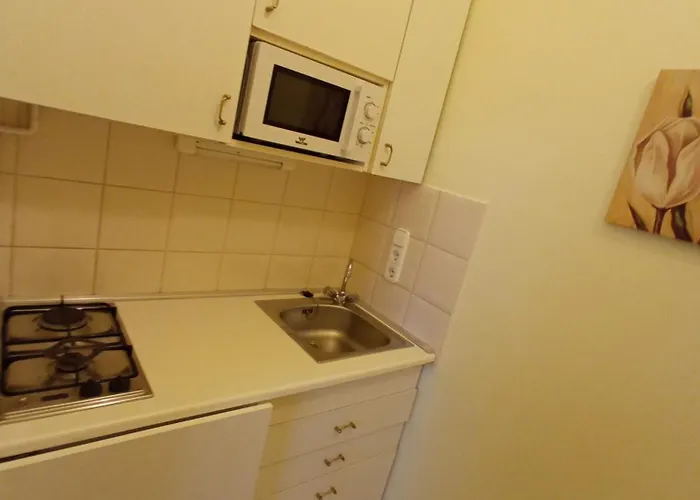 Orgona Hotel apartamentowy 3*